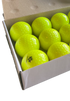 GRYPHON Box of Match Dimple Ball