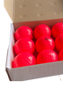 GRYPHON Box of Match Dimple Ball